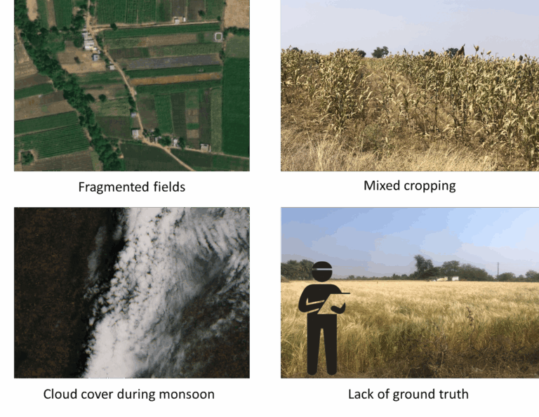 Figure 3: Challenges of crop type mapping