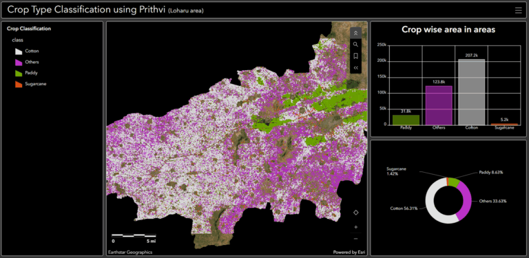 Figure 5: Crop Type map for Loharu area of Haryana