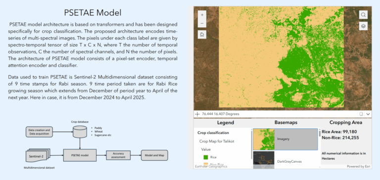 Figure 6: Rice and Non-Rice map for Talikot-Hunasagi area