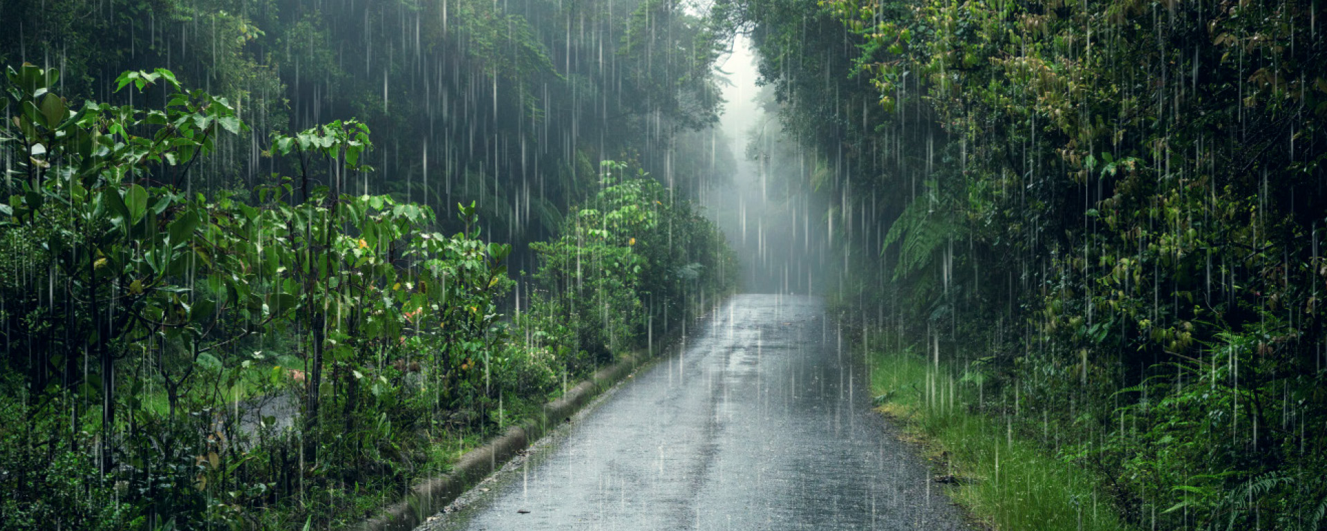 reasearch paper banner image