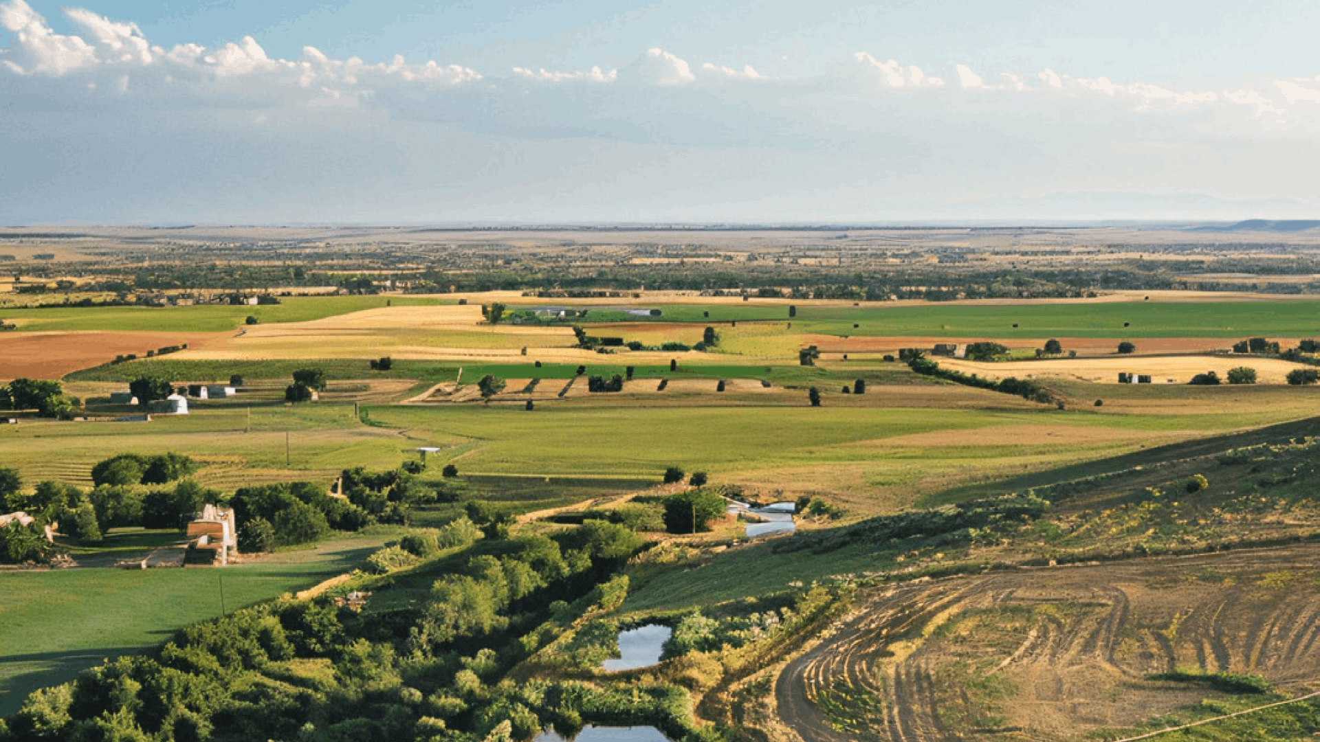 Esri India and NeoGeoInfo Technologies  Collaborate to Create A Unified Digital Platform for YEIDA