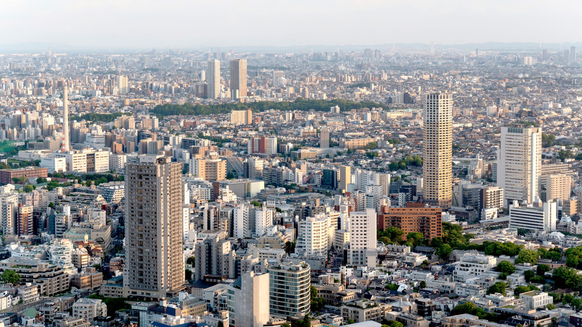 A Collaborative GIS-Based Urban  Management Solution for Rourkela  Municipal Corporation