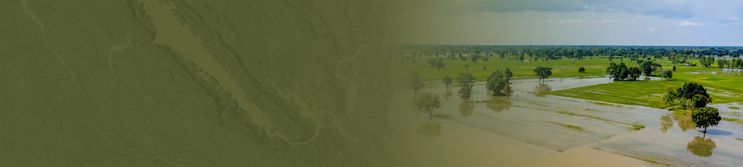 education banner