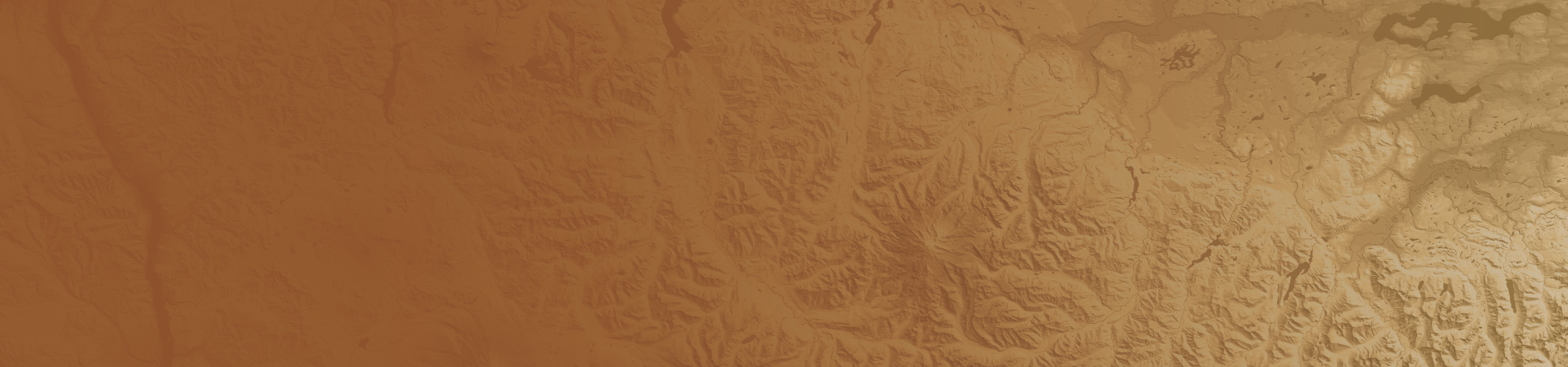 magery and Remote Sensing in GIS