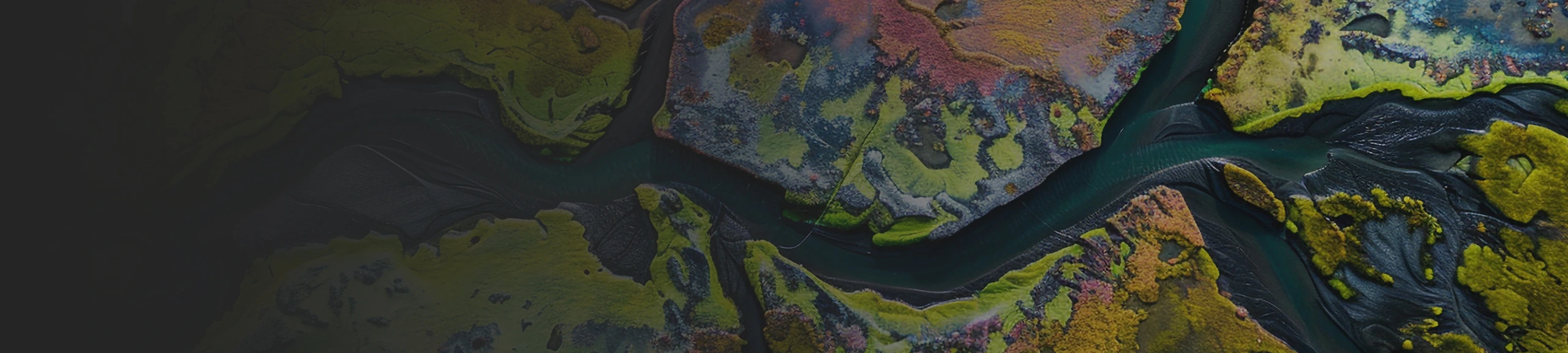 magery and Remote Sensing in GIS