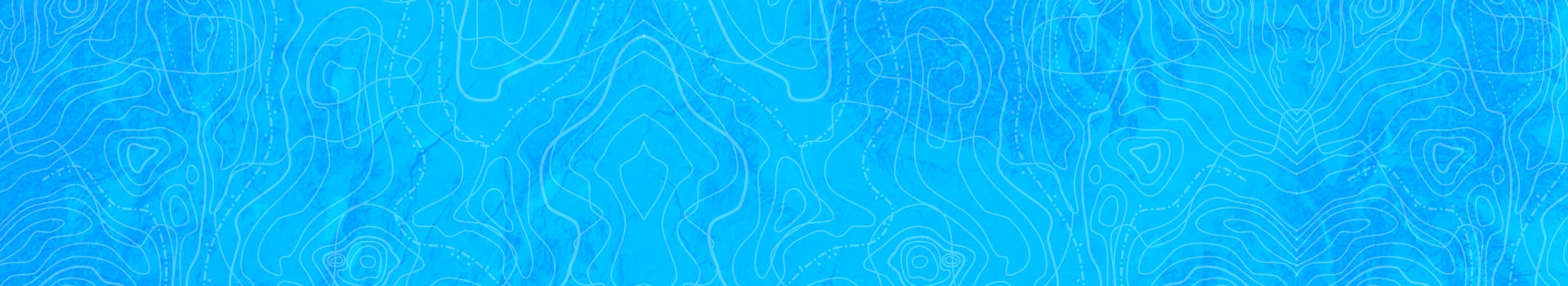 Esri India Center of Competence
