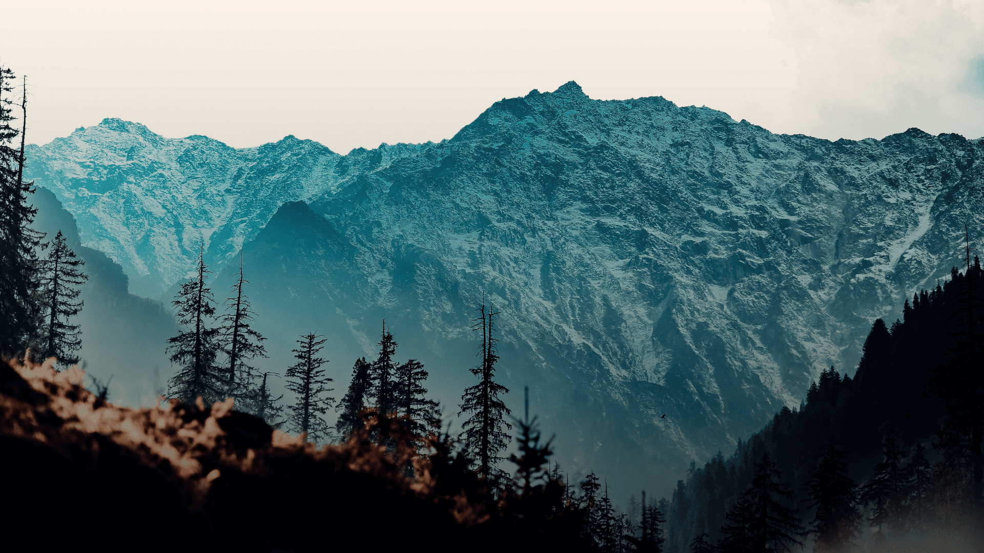 AGiSAC Facilitates Effective Governance  in Himachal Pradesh with ArcGIS