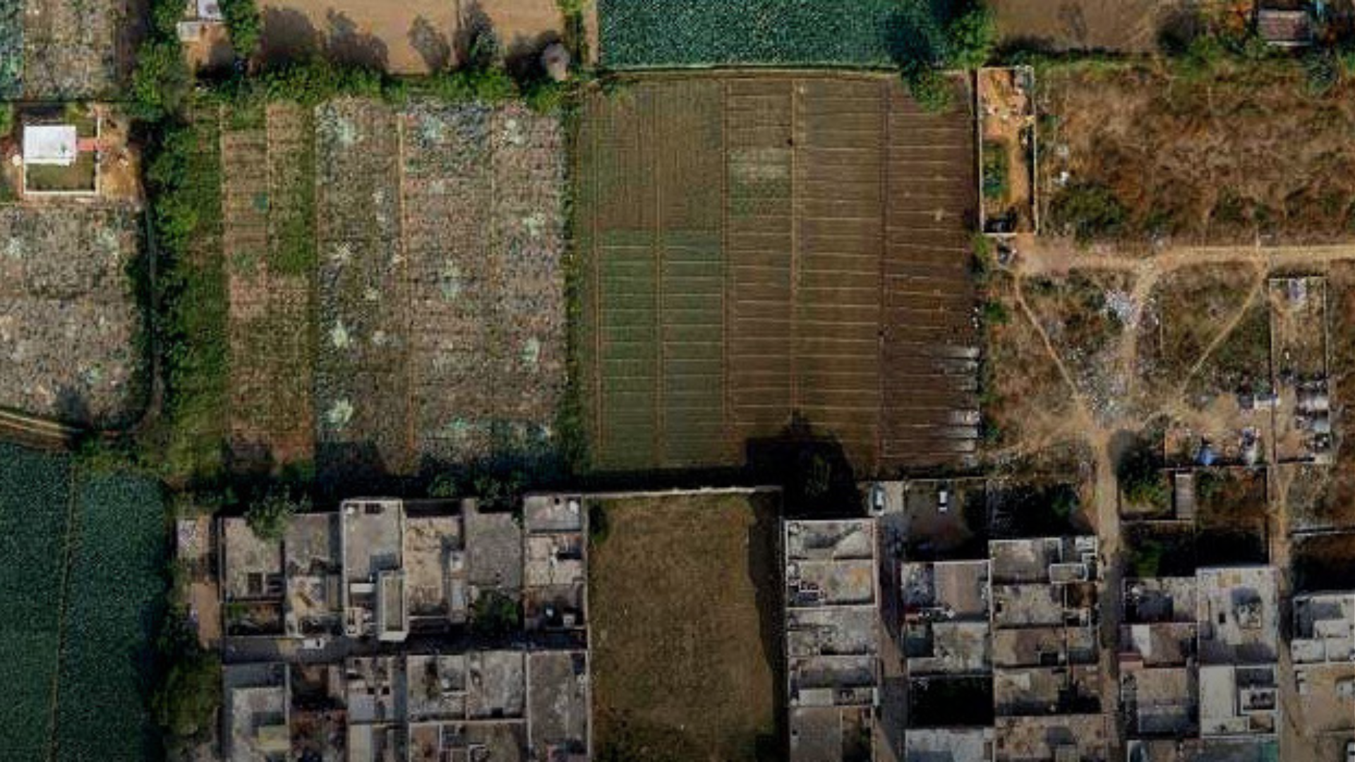 GIS-Enabled Collaborative Platform boosting GMDA’s Intelligent Decision Support System