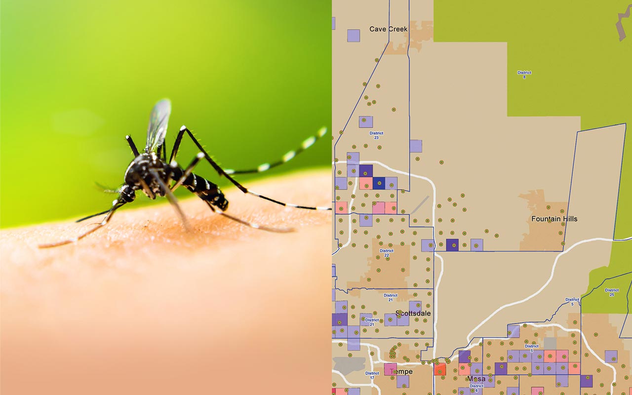 Effective Vector-Borne Control and Surveillance: Responding to the Zika Virus