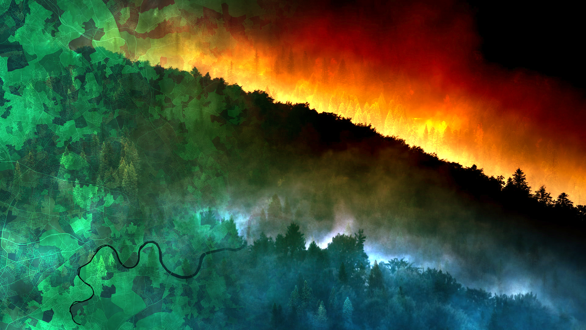 forest-fire-banner