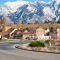 A modern suburban tract house neighborhood with wide clean roads lined with young trees and a large snow-capped mountain range in the background