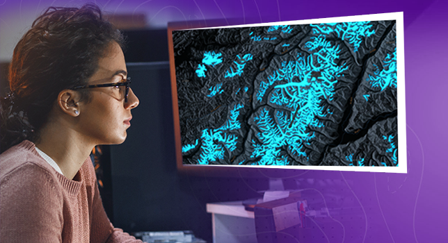 A multicolored district map