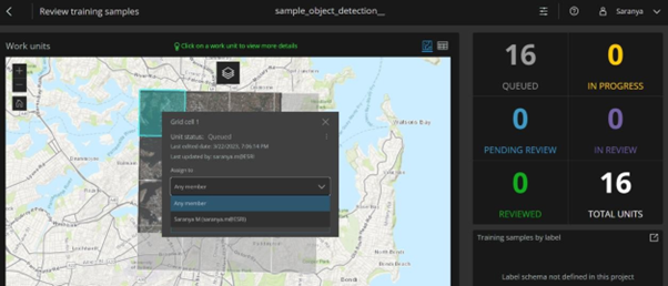 After sample collection, you can export the training data as image chips