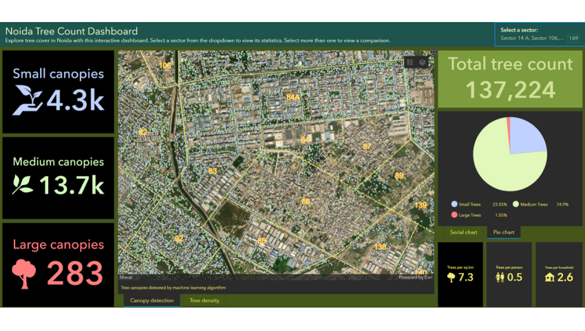 tree-canopy-detection